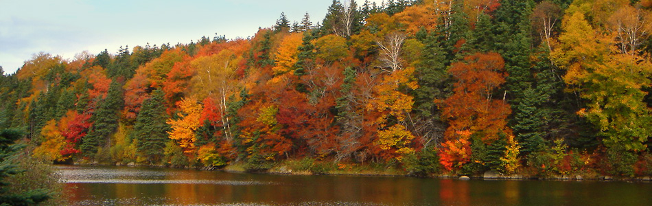 nova scotia